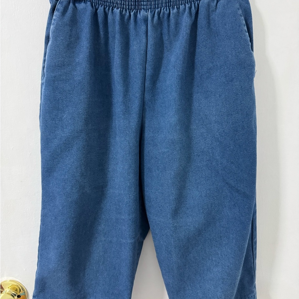 Alfred Dunner Women’s Pull On Blue Pants Size 10 Petite Pockets